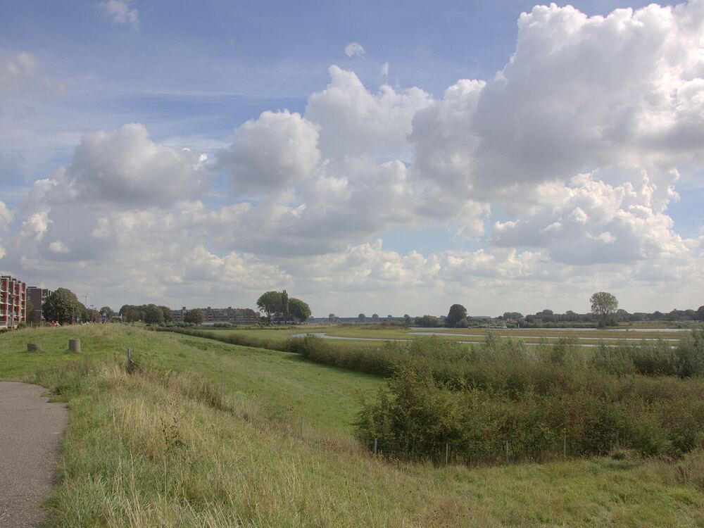 De uiterwaarden van de Bossenwaard bij Vreeswijk, Nieuwegein