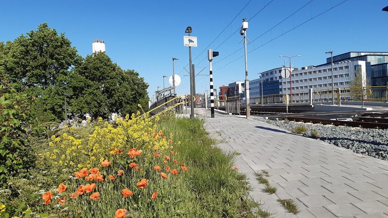 Openluchtfilm in Nieuwegein — Film in Nieuwegein